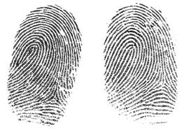 Biometric print